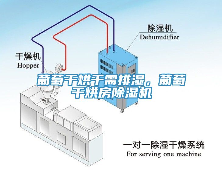 葡萄干烘干需排濕，葡萄干烘房除濕機