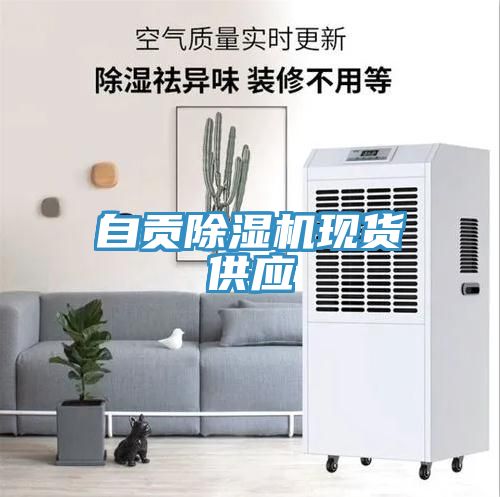 自貢除濕機現(xiàn)貨供應(yīng)