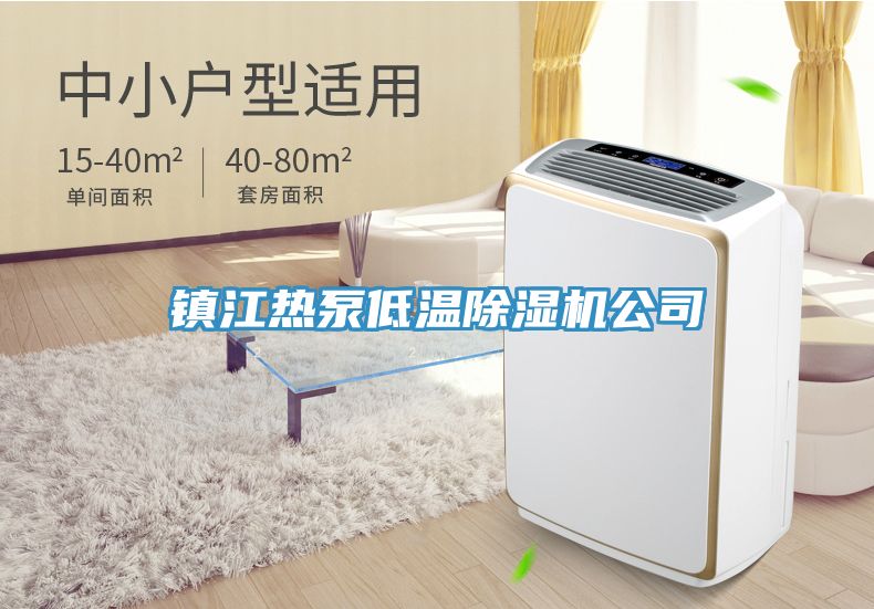 鎮江熱泵低溫除濕機公司