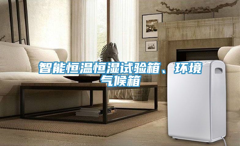 智能恒溫恒濕試驗箱、環境氣候箱