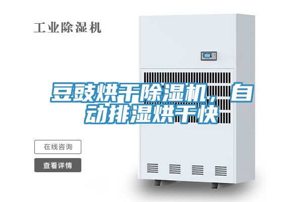 豆豉烘干除濕機，自動排濕烘干快