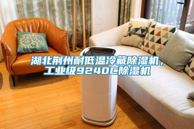 湖北荊州耐低溫冷藏除濕機(jī)，工業(yè)級(jí)9240C除濕機(jī)