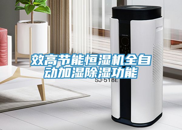 效高節能恒濕機全自動加濕除濕功能
