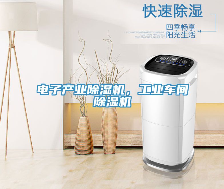 電子產(chǎn)業(yè)除濕機(jī)，工業(yè)車間除濕機(jī)