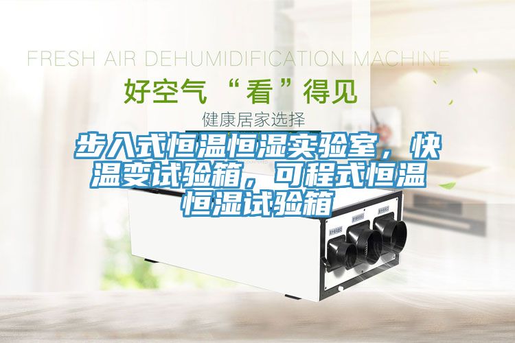 步入式恒溫恒濕實驗室，快溫變試驗箱，可程式恒溫恒濕試驗箱