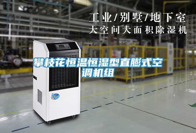 攀枝花恒溫恒濕型直膨式空調機組