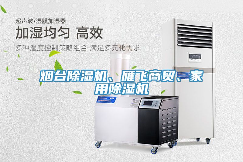 煙臺(tái)除濕機(jī)、雁飛商貿(mào)、家用除濕機(jī)