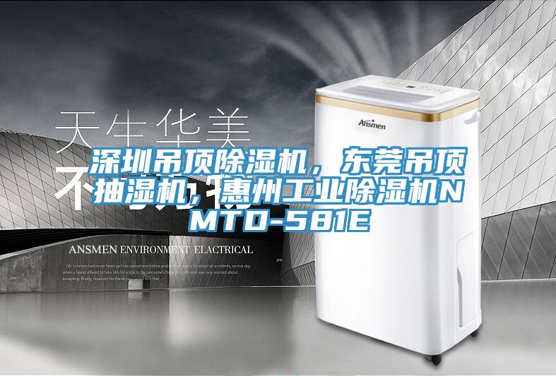 深圳吊頂除濕機，東莞吊頂抽濕機，惠州工業(yè)除濕機NMTD-581E