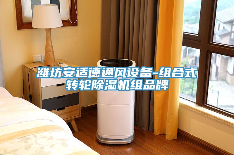 濰坊安適德通風設備-組合式轉輪除濕機組品牌