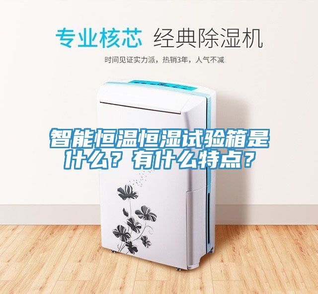 智能恒溫恒濕試驗箱是什么？有什么特點？