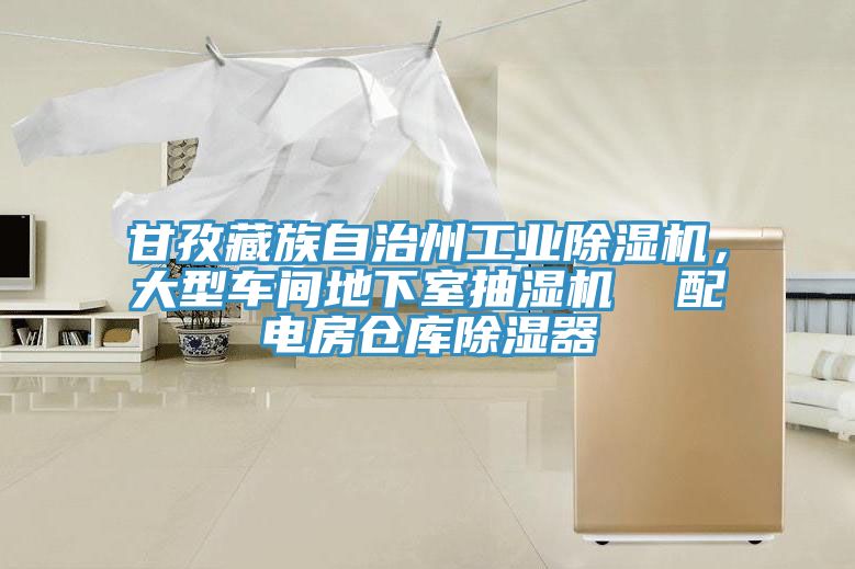 甘孜藏族自治州工業(yè)除濕機(jī)，大型車間地下室抽濕機(jī)  配電房倉庫除濕器