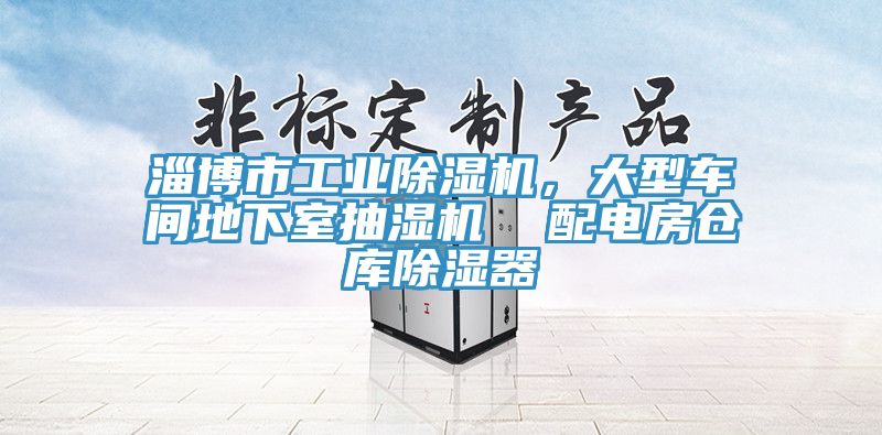 淄博市工業(yè)除濕機，大型車間地下室抽濕機  配電房倉庫除濕器