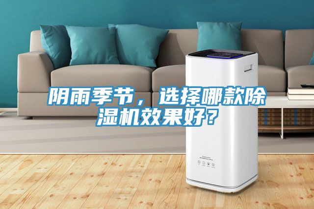 陰雨季節(jié),選擇哪款除濕機(jī)效果好?