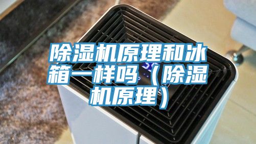 除濕機原理和冰箱一樣嗎(除濕機原理)