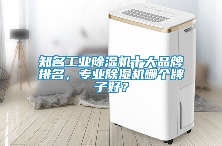 知名工業(yè)除濕機(jī)十大品牌排名，專業(yè)除濕機(jī)哪個牌子好？