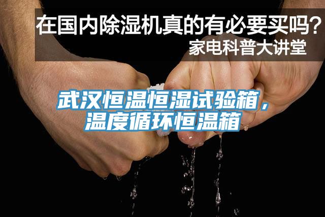 武漢恒溫恒濕試驗箱，溫度循環恒溫箱