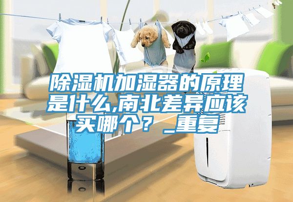 除濕機(jī)加濕器的原理是什么,南北差異應(yīng)該買哪個？_重復(fù)