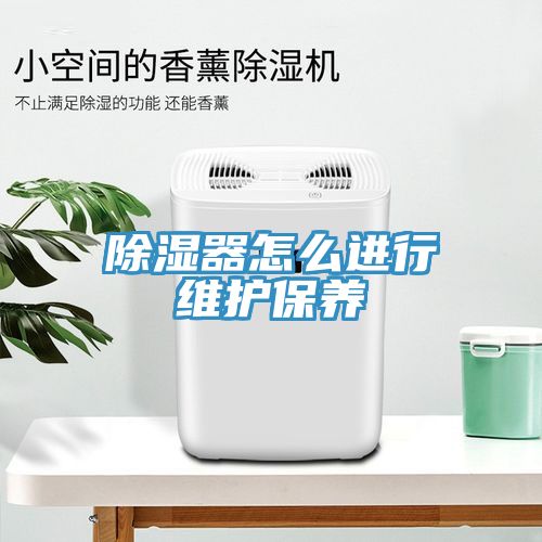 除濕器怎么進行維護保養