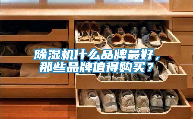 除濕機什么品牌最好，那些品牌值得購買？