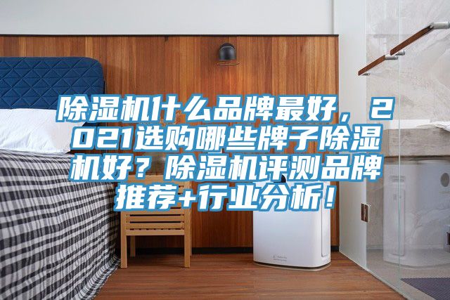 除濕機什么品牌最好，2021選購哪些牌子除濕機好？除濕機評測品牌推薦+行業分析！