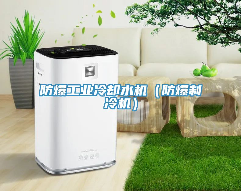 防爆工業冷卻水機（防爆制冷機）