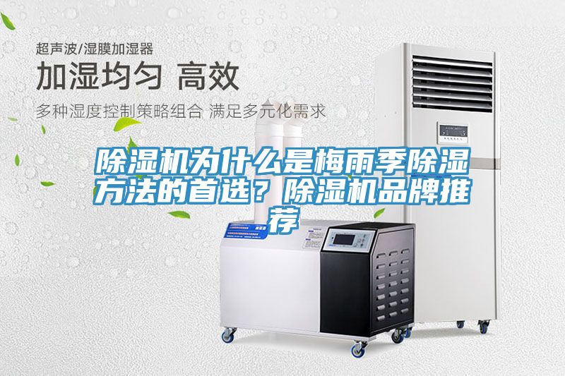 除濕機為什么是梅雨季除濕方法的首選？除濕機品牌推薦