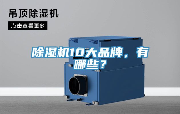 除濕機10大品牌，有哪些？