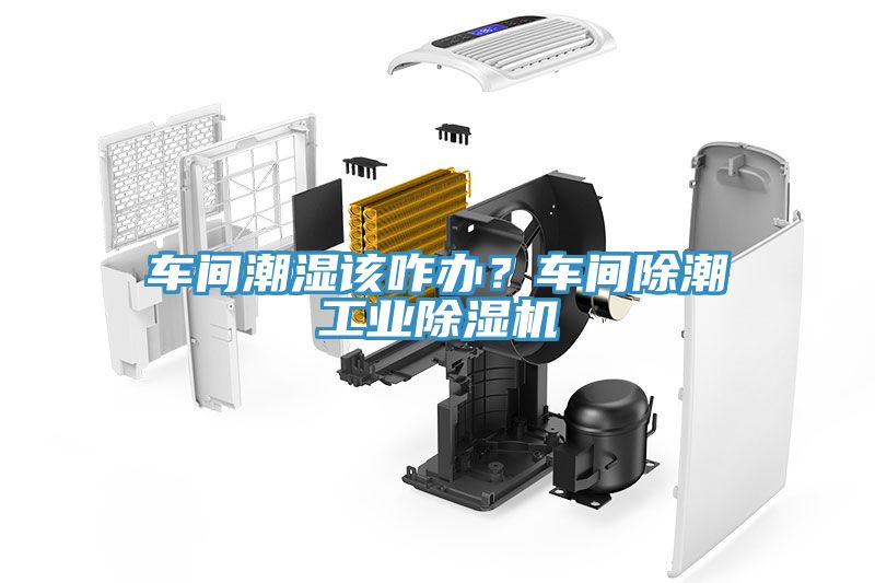 車間潮濕該咋辦？車間除潮工業除濕機
