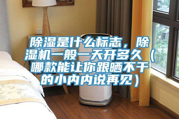 除濕是什么標志，除濕機一般一天開多久（哪款能讓你跟曬不干的小內內說再見）