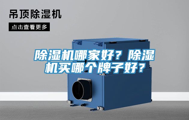 除濕機(jī)哪家好?除濕機(jī)買哪個(gè)牌子好?