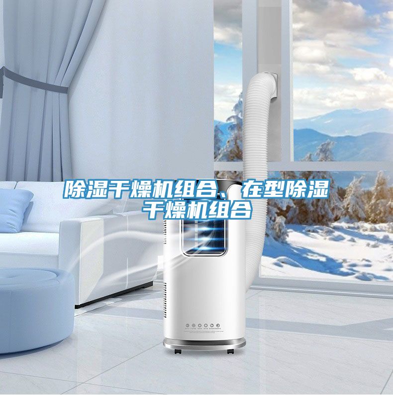 除濕干燥機組合、在型除濕干燥機組合