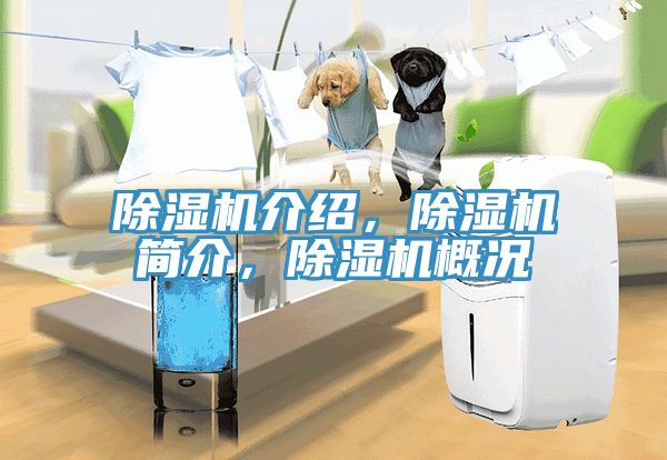 除濕機介紹,除濕機簡介,除濕機概況