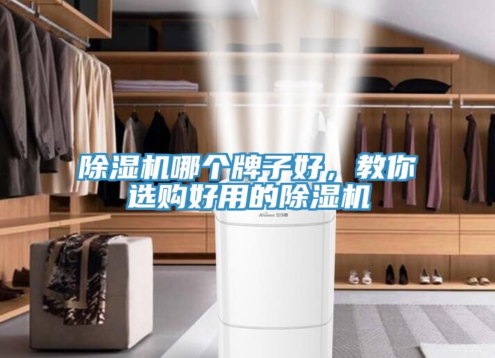 除濕機(jī)哪個(gè)牌子好，教你選購(gòu)好用的除濕機(jī)
