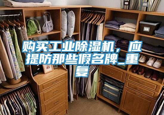 購買工業除濕機，應提防那些假名牌_重復