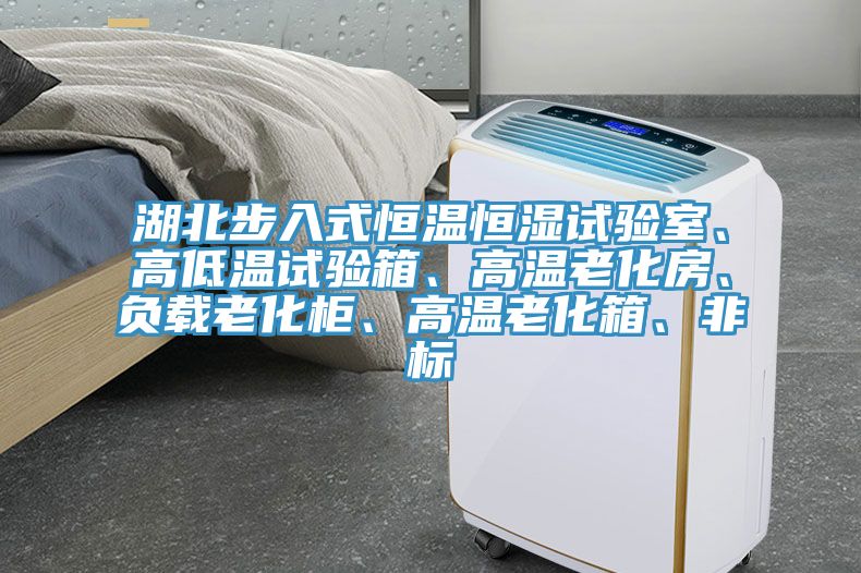 湖北步入式恒溫恒濕試驗室、高低溫試驗箱、高溫老化房、負載老化柜、高溫老化箱、非標
