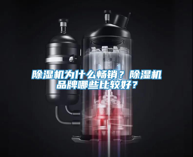 除濕機為什么暢銷？除濕機品牌哪些比較好？