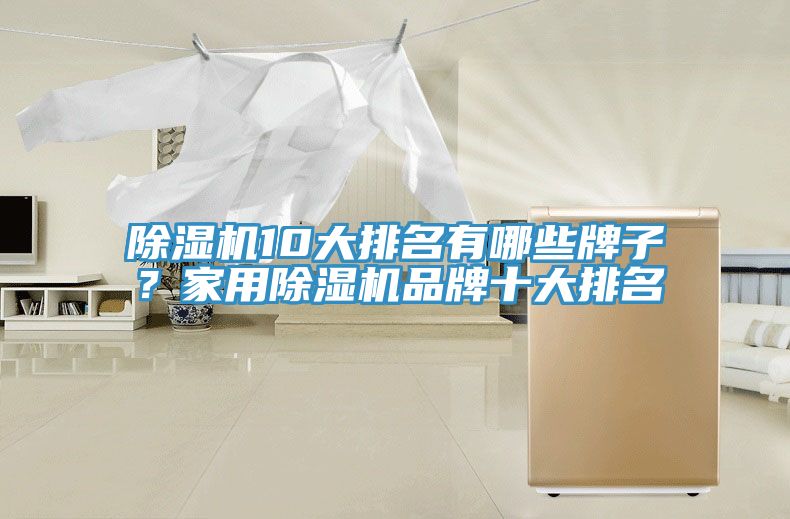 除濕機10大排名有哪些牌子？家用除濕機品牌十大排名