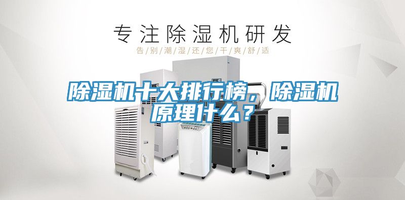 除濕機十大排行榜，除濕機原理什么？