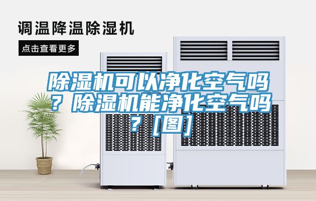 除濕機可以凈化空氣嗎？除濕機能凈化空氣嗎？[圖]