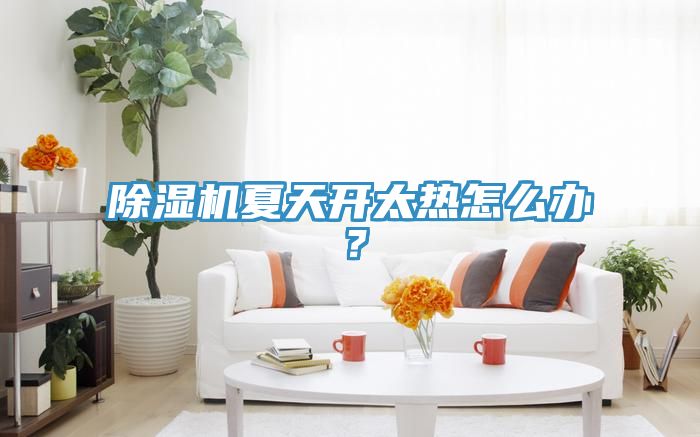 除濕機夏天開太熱怎么辦？