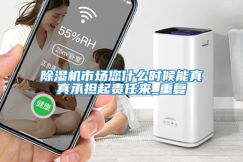除濕機市場您什么時候能真真承擔起責任來_重復