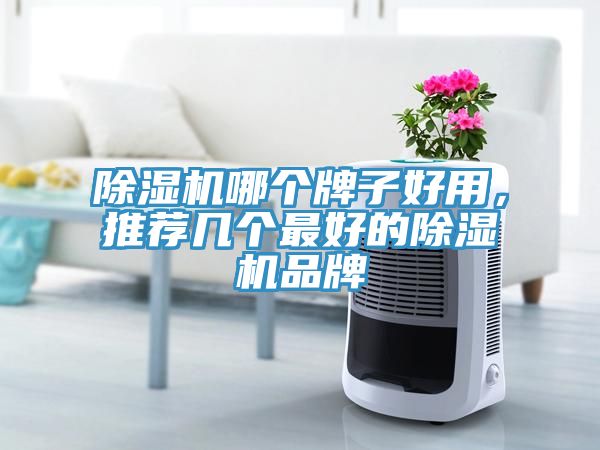 除濕機哪個牌子好用，推薦幾個最好的除濕機品牌