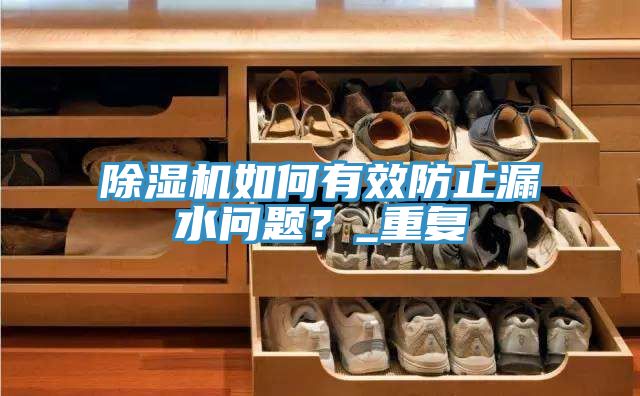 除濕機(jī)如何有效防止漏水問題？_重復(fù)