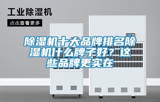 除濕機十大品牌排名除濕機什么牌子好？這些品牌更實在