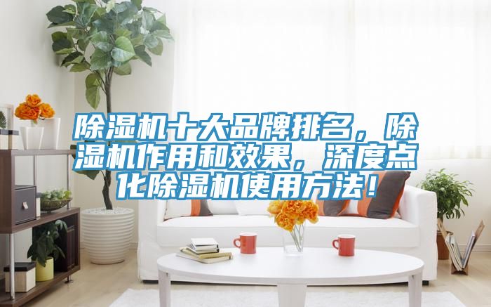 除濕機十大品牌排名，除濕機作用和效果，深度點化除濕機使用方法！