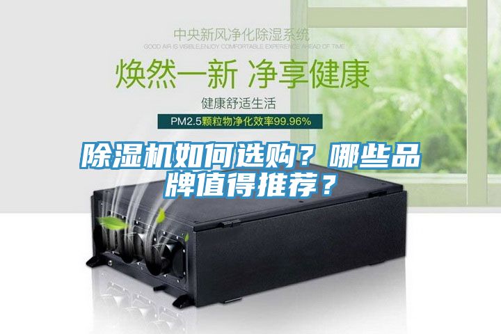 除濕機如何選購？哪些品牌值得推薦？