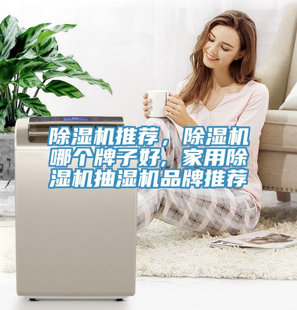 除濕機推薦，除濕機哪個牌子好, 家用除濕機抽濕機品牌推薦