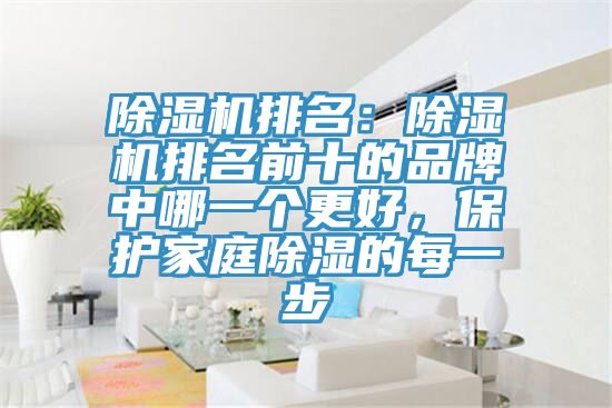 除濕機排名：除濕機排名前十的品牌中哪一個更好，保護家庭除濕的每一步