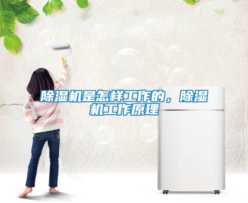 除濕機是怎樣工作的，除濕機工作原理