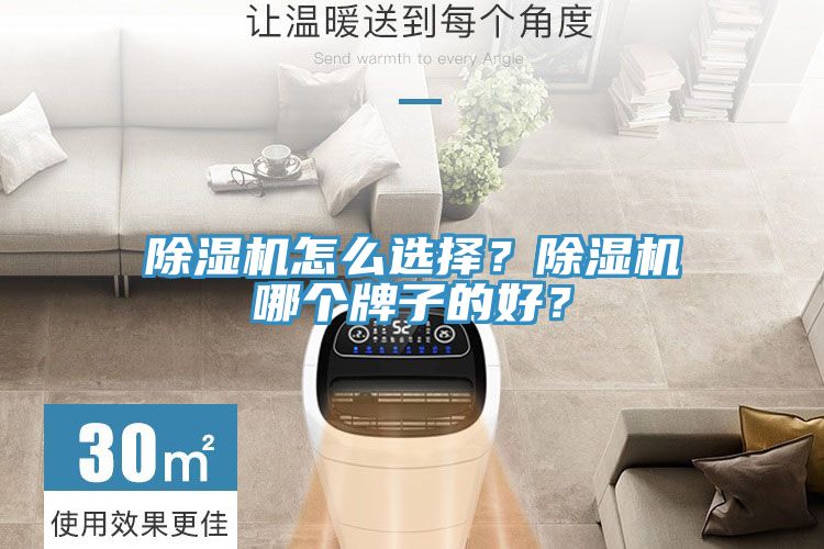 除濕機怎么選擇？除濕機哪個牌子的好？